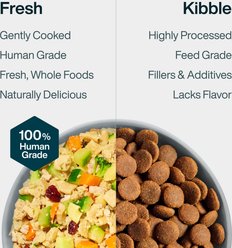JustFoodForDogs Turkey & Whole Wheat Macaroni Recipe Frozen Human-Grade Fresh Dog Food, 18-oz pouch, case of 7 slide 2 of 9