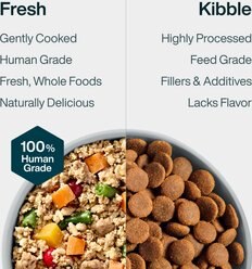 JustFoodForDogs Adult Fresh Frozen Healthy Weight Human-Grade Pork Dog Food, 18-oz pouch, 7 count slide 2 of 9