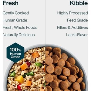JustFoodForDogs Adult Fresh Frozen Healthy Weight Human-Grade Pork Dog Food, 18-oz pouch, case of 21