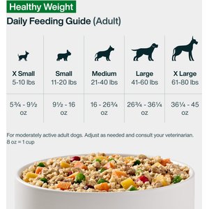 JustFoodForDogs Adult Fresh Frozen Healthy Weight Human-Grade Pork Dog Food, 18-oz pouch, case of 21