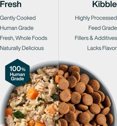 JustFoodForDogs JustFresh Human Grade Home-Cooked Chicken Recipe Fresh Dog Food, 12-oz pouch, case of 7 slide 2 of 9