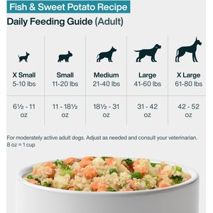 JustFoodForDogs Fish & Sweet Potato Recipe Frozen Human-Grade Fresh Dog Food, 72-oz pouch, case of 7