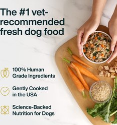 JustFoodForDogs Pantry Fresh Chicken & White Rice Fresh Dog Food, 12.5-oz pouch, case of 12 slide 2 of 9