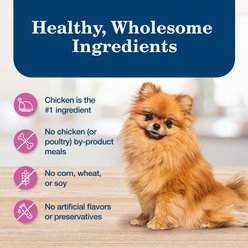 Blue Buffalo Homestyle Recipe Small Breed Chicken Dinner Canned Dog Food, 5.5-oz, case of 24 slide 2 of 9