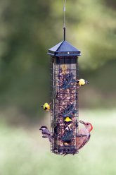 Brome Squirrel Solution 200 Wild Bird Feeder, Green, 20-in slide 2 of 7
