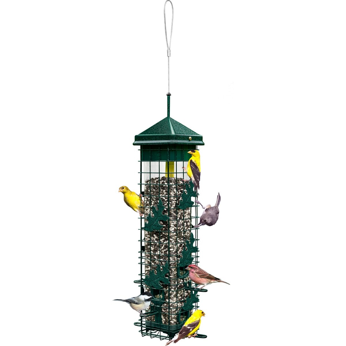 Brome Squirrel Solution 200 Wild Bird Feeder, Green, 20-in