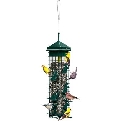 Brome Brome Squirrel Solution 200 Wild Bird Feeder, Green, 20-in