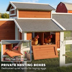 PawHut Chicken Coop with Nesting Boxes & Pull-Out Tray, 6 Chicken Capacity, 79 x 54 x 47-in slide 2 of 9
