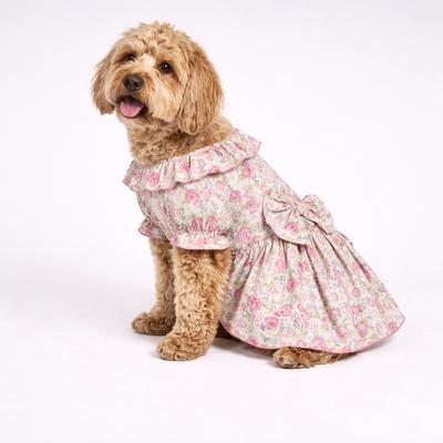 dog dress Blue Daisy with Leash | Summer Dog Dress a vivid white collar and satin bow stand out against the sky Pink Dog Dress | Puppy