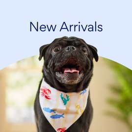 New Arrivals