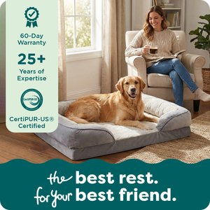 FurHaven Velvet Waves Perfect Comfort Orthopedic Sofa Cat & Dog Bed with Removable Cover, Granite Gray, Jumbo