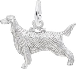 Rembrandt Charms Irish Setter Memorial Keepsake, Silver, 18.64 x 12.9-mm