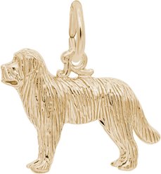 Rembrandt Charms Newfoundland Memorial Keepsake, Gold, 20.4 x 13.9-mm