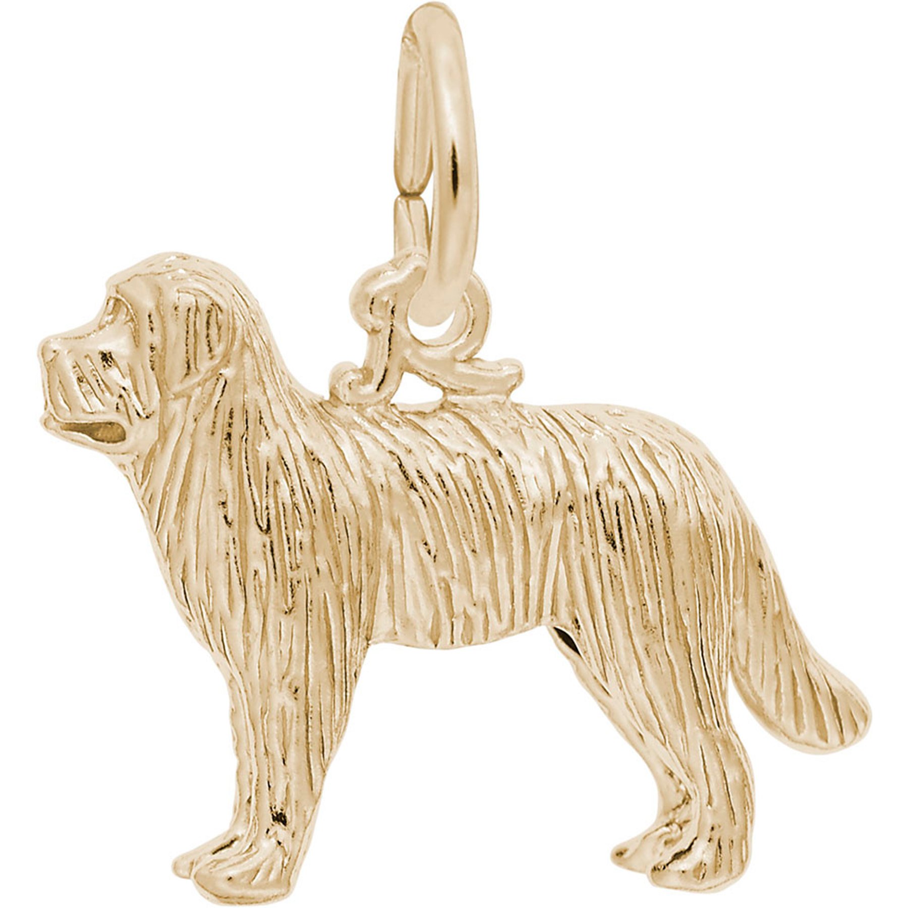 Rembrandt Charms Newfoundland Memorial Keepsake, Gold, 20.4 x 13.9-mm