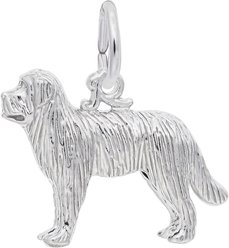 Rembrandt Charms Newfoundland Memorial Keepsake, Silver, 20.4 x 13.9-mm