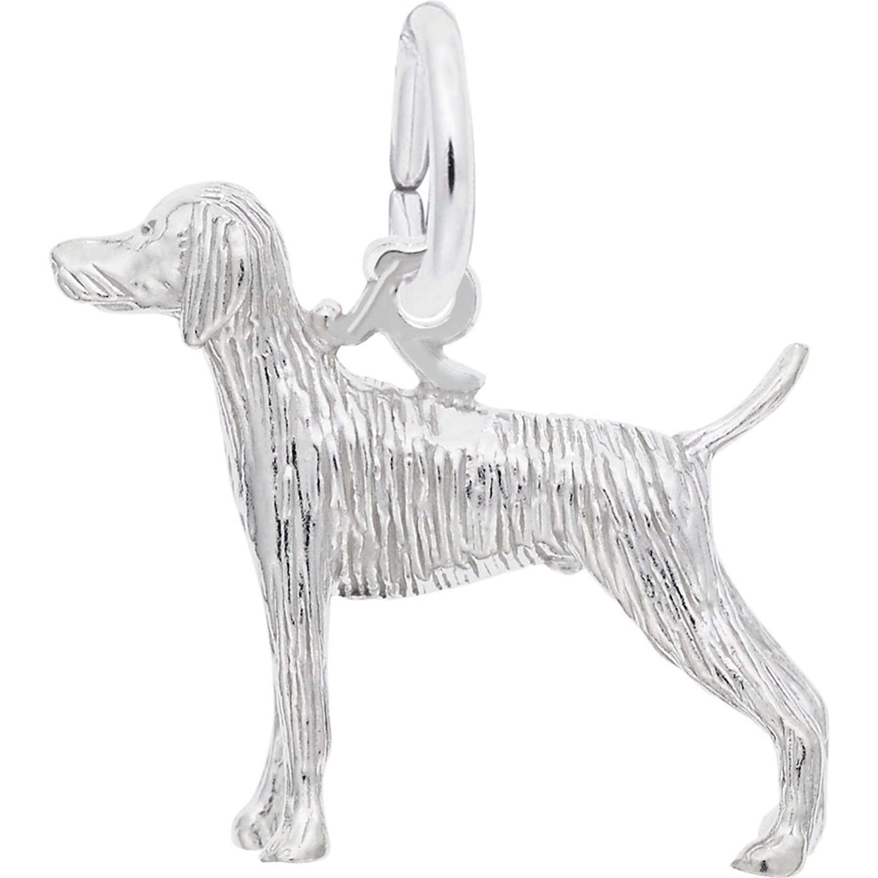 Rembrandt Charms Weimaraner Memorial Keepsake, Silver, 19.21 x 15.01-mm