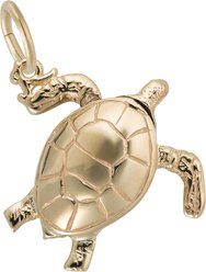 Rembrandt Charms Sea Turtle Memorial Keepsake, Gold, 17.01 x 17.83-mm