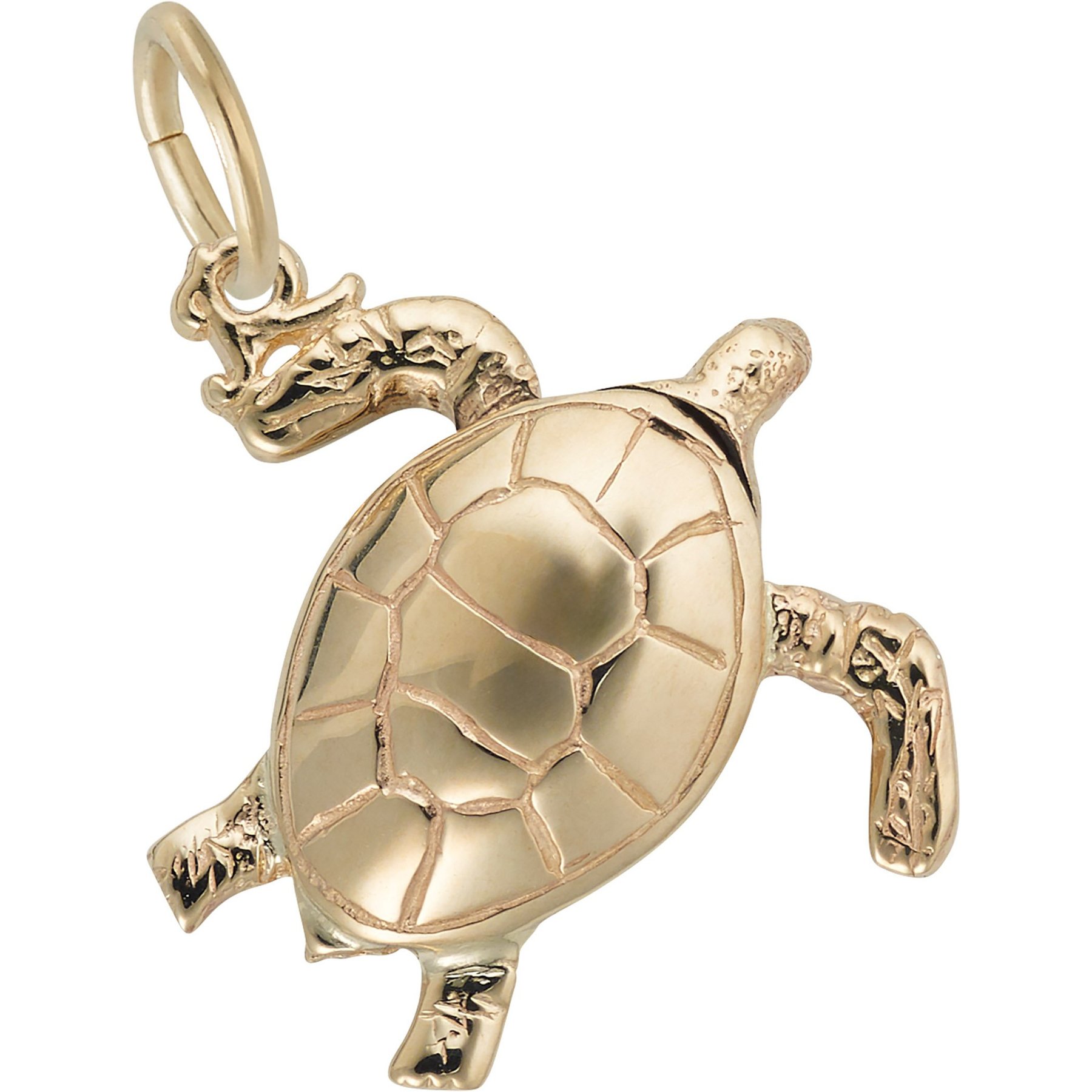 Rembrandt Charms Sea Turtle Memorial Keepsake, Gold, 17.01 x 17.83-mm