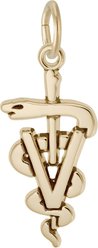 Rembrandt Charms Veterinarian Memorial Keepsake, Gold, 12.65 x 23.07-mm