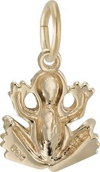 Rembrandt Charms Frog Memorial Keepsake, Gold, 11.12 x 11.66-mm slide 2 of 2