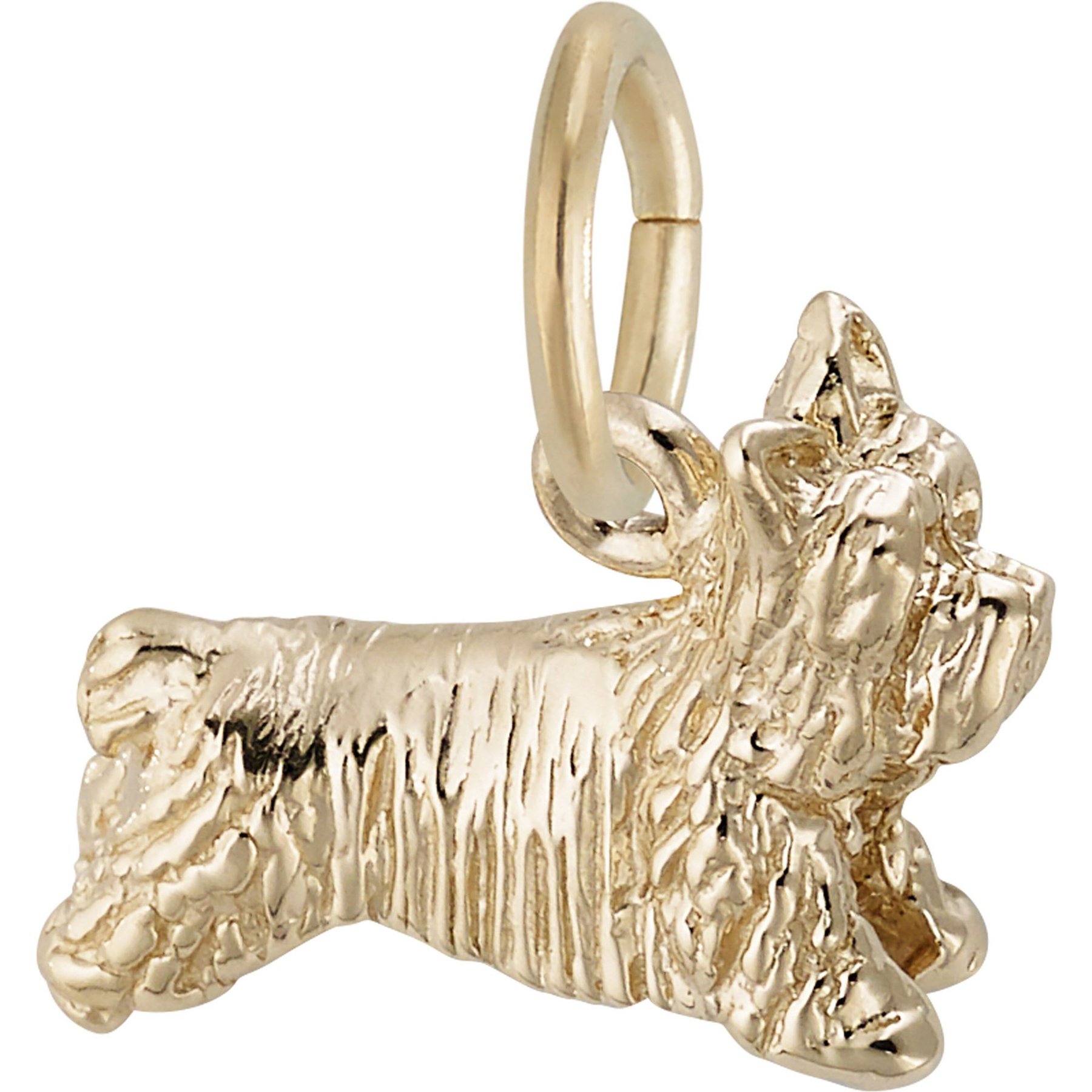 Rembrandt Charms Terrier Memorial Keepsake, Gold, 14.11 x 10.93-mm