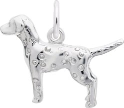 Rembrandt Charms Dalmatian Memorial Keepsake, Silver, 21.66 x 15.91-mm