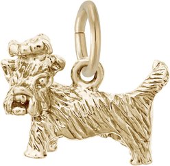 Rembrandt Charms Yorkshire Memorial Keepsake, Gold, 14.1 x 11.46-mm