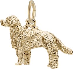 Rembrandt Charms Golden Retriever Memorial Keepsake, Gold, 21.39 x 15.06-mm