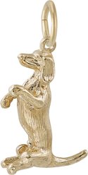 Rembrandt Charms Dachshund Memorial Keepsake, Gold, 12.68 x 18.59-mm
