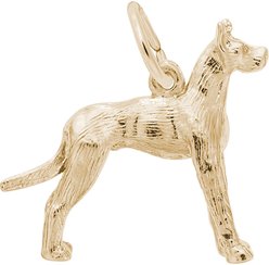 Rembrandt Charms Great Dane Memorial Keepsake, Gold, 23.93 x 19.18-mm