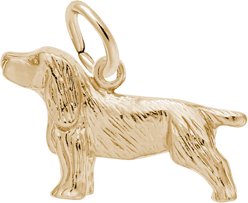 Rembrandt Charms Springer Spaniel Memorial Keepsake, Gold, 20.08 x 12.88-mm