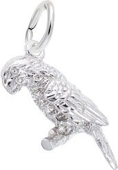 Rembrandt Charms Parrot Memorial Keepsake, Silver, 9.04 x 19.49-mm