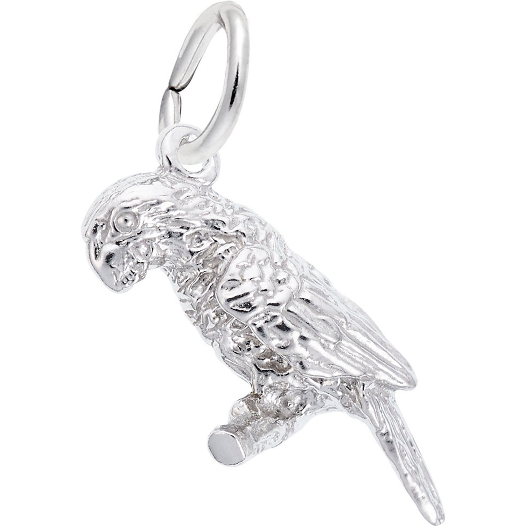 Rembrandt Charms Parrot Memorial Keepsake, Silver, 9.04 x 19.49-mm