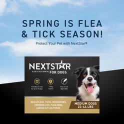 NextStar Flea & Tick Spot Treatment for Medium Dogs, 23-44 lbs, 3 Doses (3-mos. supply) slide 2 of 8