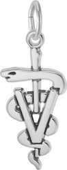 Rembrandt Charms Veterinarian Memorial Keepsake, Silver, 12.65 x 23.07-mm