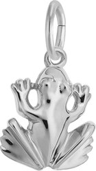 Rembrandt Charms Frog Memorial Keepsake, Silver, 11.12 x 11.66-mm