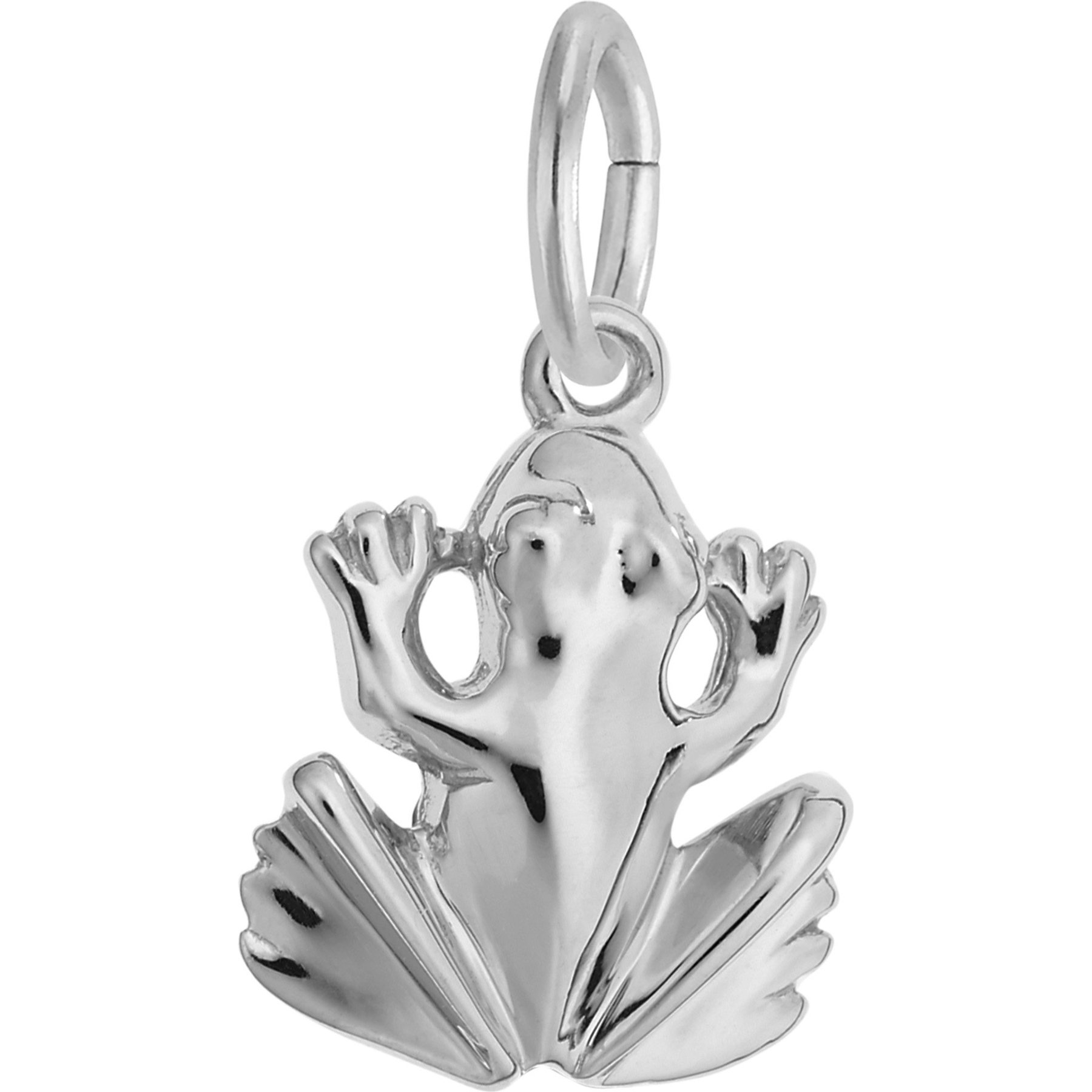 Rembrandt Charms Frog Memorial Keepsake, Silver, 11.12 x 11.66-mm