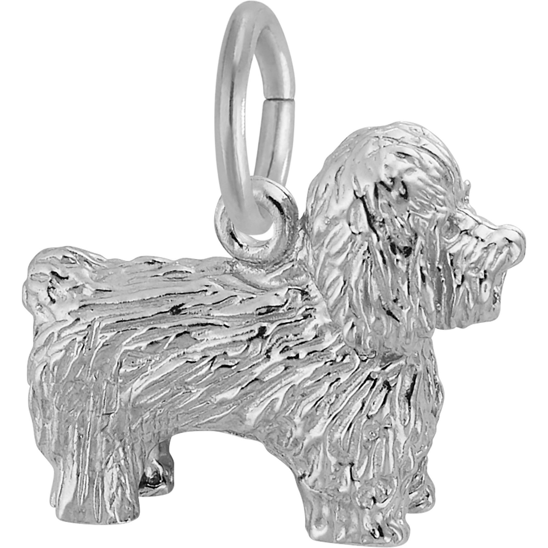 Rembrandt Charms Bichon Frise Memorial Keepsake, Silver, 14.44 x 12.1-mm