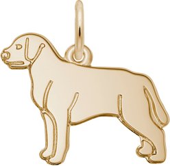 Rembrandt Charms Labrador Retriever Memorial Keepsake, Gold, 17.53 x 15.24-mm