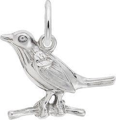 Rembrandt Charms Robin Memorial Keepsake, Silver, 17.47 x 14.39-mm