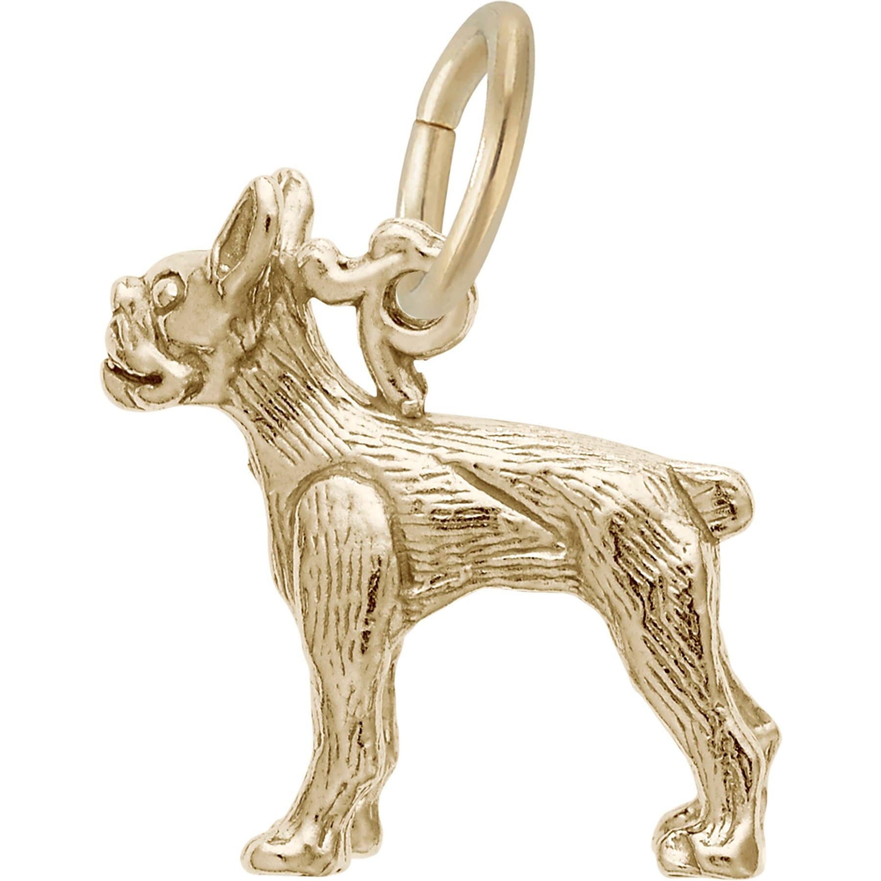 Rembrandt Charms Boston Terrier Memorial Keepsake, Gold, 15.2 x 17.25-mm