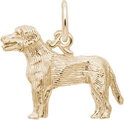 Rembrandt Charms Labrador Memorial Keepsake, Gold, 19.48 x 14.94-mm