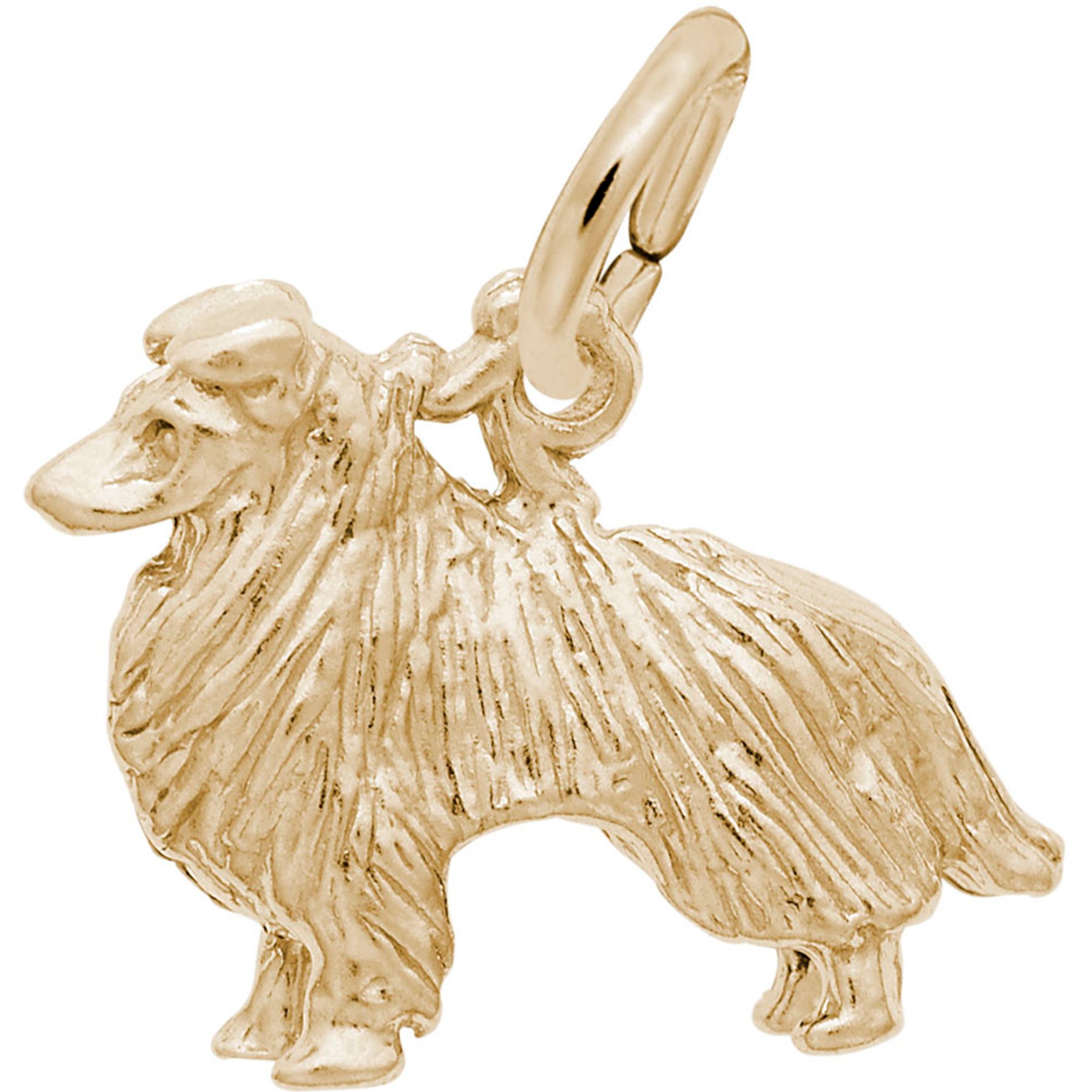 Rembrandt Charms Collie Memorial Keepsake, Gold, 16.9 x 12.17-mm