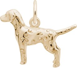 Rembrandt Charms Dalmatian Memorial Keepsake, Gold, 21.66 x 15.91-mm