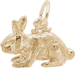 Rembrandt Charms Rabbit Memorial Keepsake, Gold, 16.68 x 10.97-mm