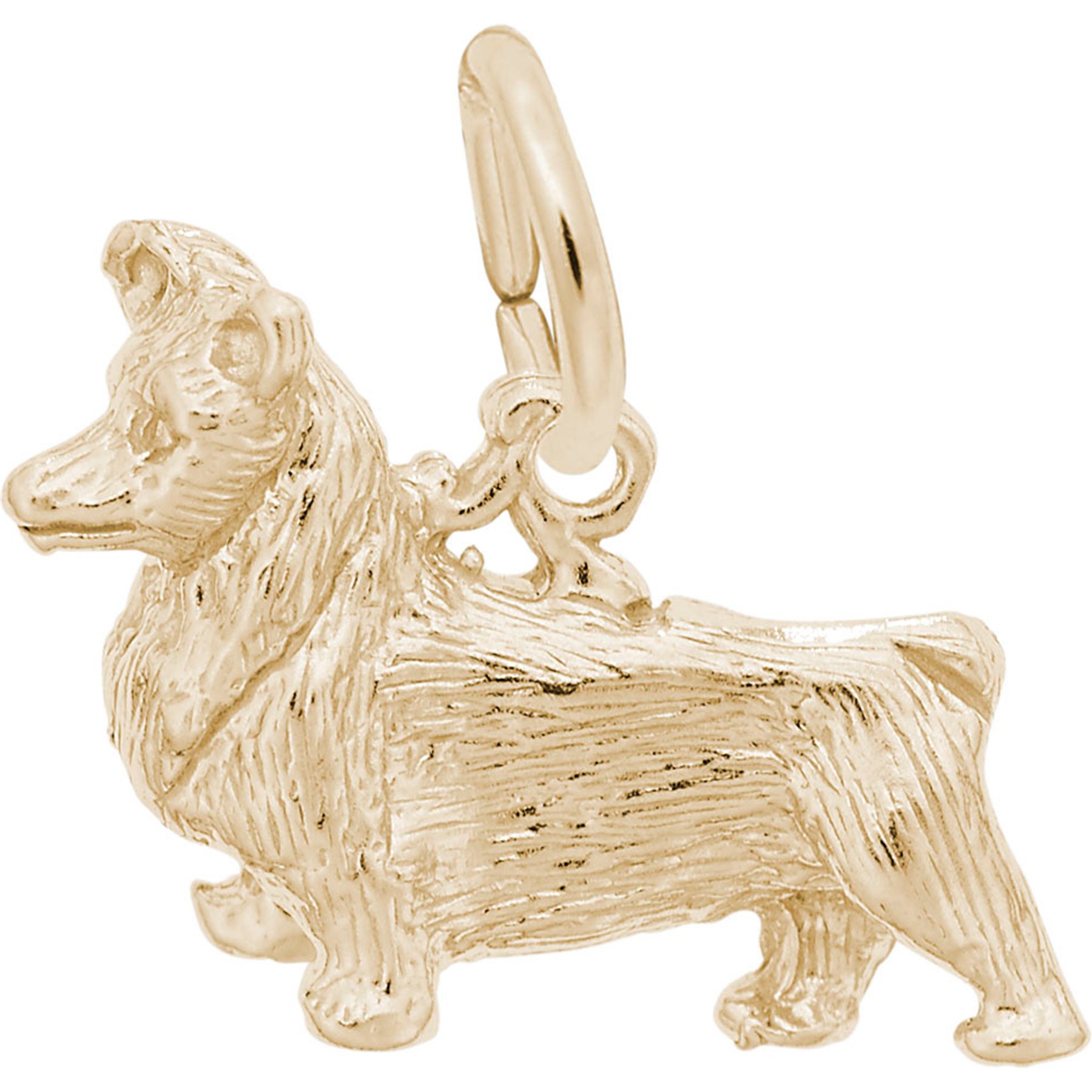 Rembrandt Charms Pembroke Welsh Corgi Memorial Keepsake, Gold, 17.89 x 12.89-mm