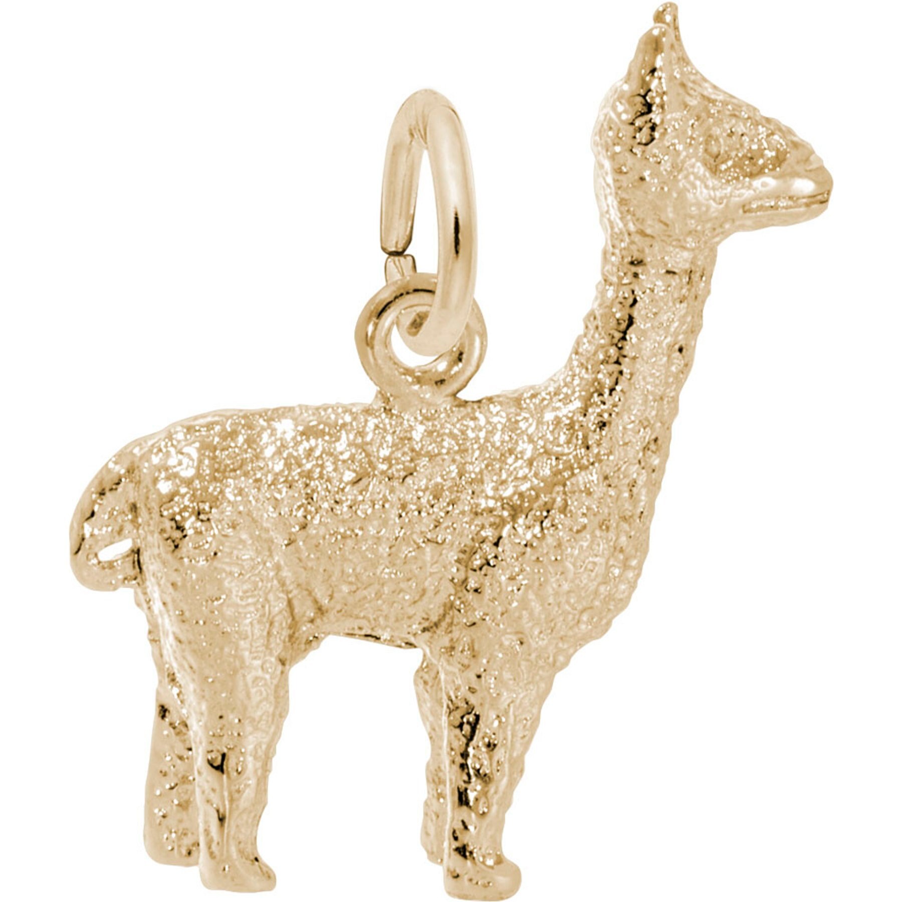 Rembrandt Charms Alpaca Memorial Keepsake, Gold, 15.54 x 17.98-mm