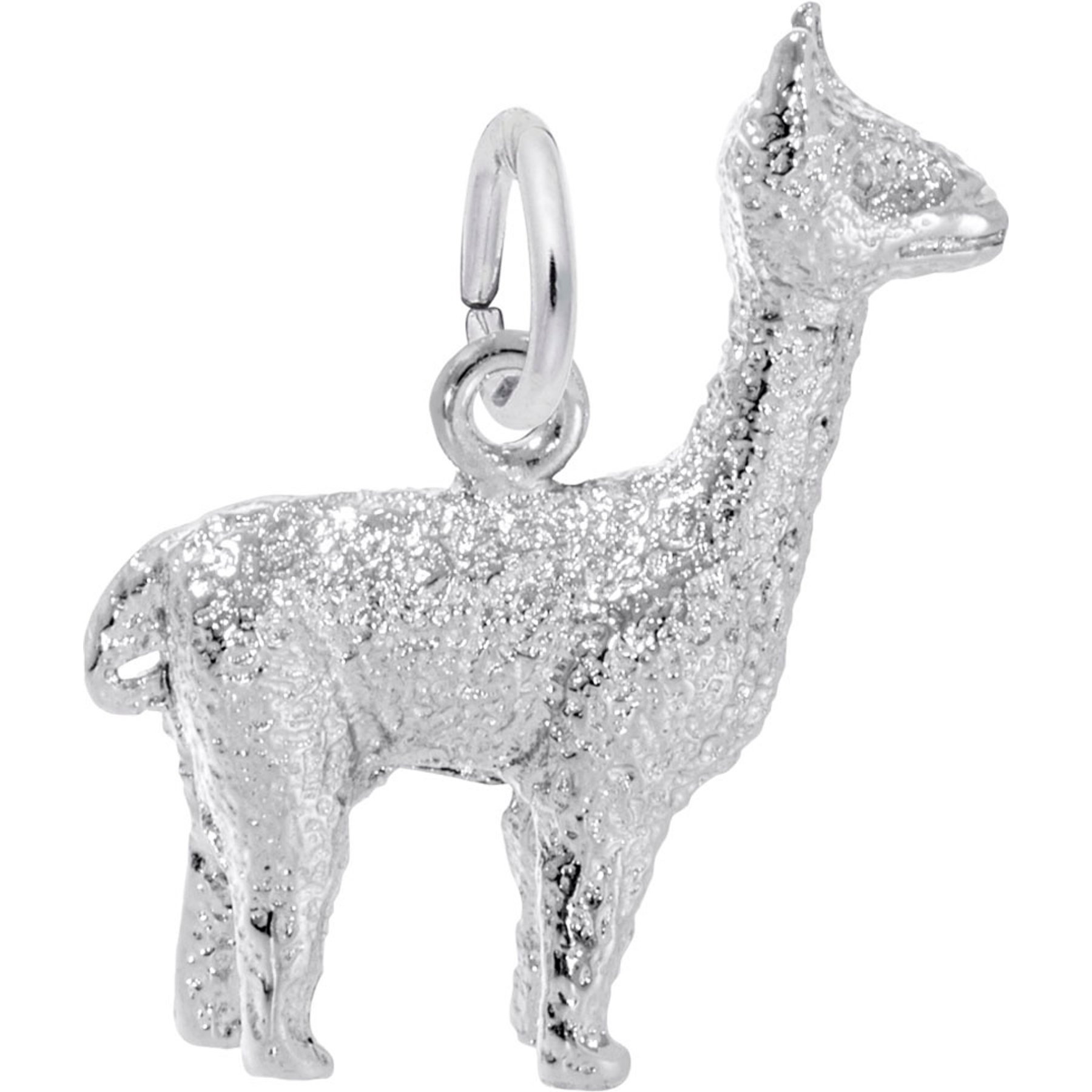 Rembrandt Charms Alpaca Memorial Keepsake, Silver, 15.54 x 17.98-mm