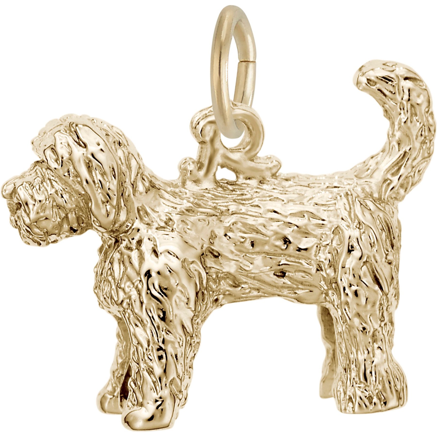 Rembrandt Charms Labradoodle Memorial Keepsake, Gold, 16 x 14-mm