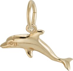 Rembrandt Charms Dolphin Memorial Keepsake, Gold, 18.84 x 7.98-mm slide 2 of 3